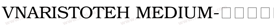 VnAristoteH Medium字体转换